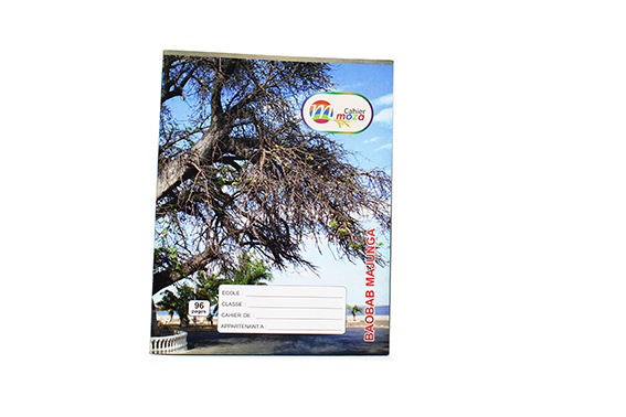 Cahier petit format 96 pages (20pqts x 10pces) Mimoza