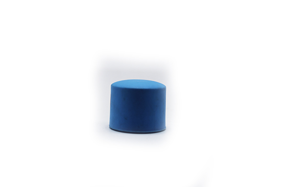 Bouchon PPR bleu 25mm M022261
